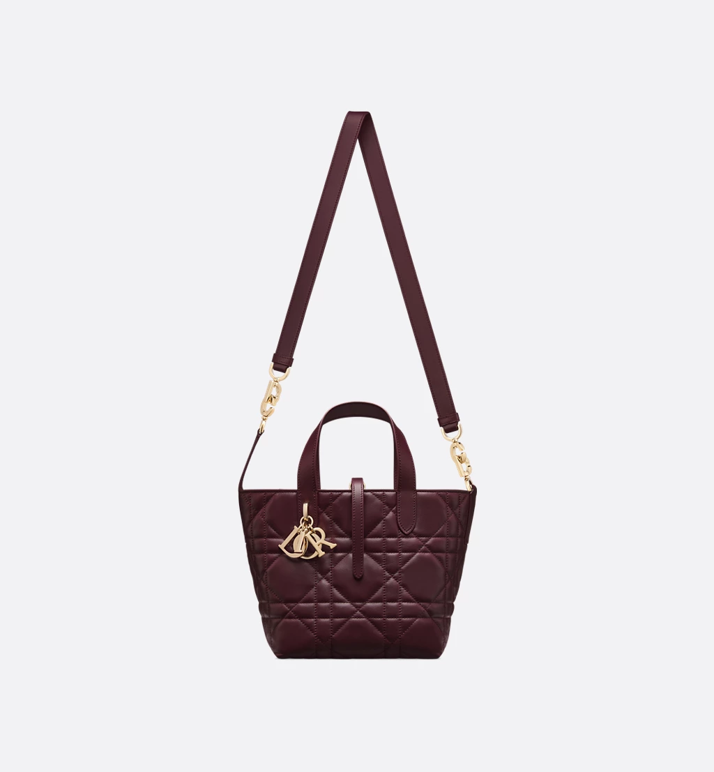 Small Dior Toujours Vertical Tote Bag